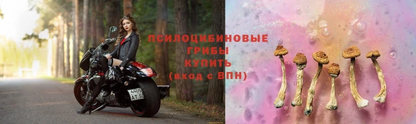 бошки Ладушкин