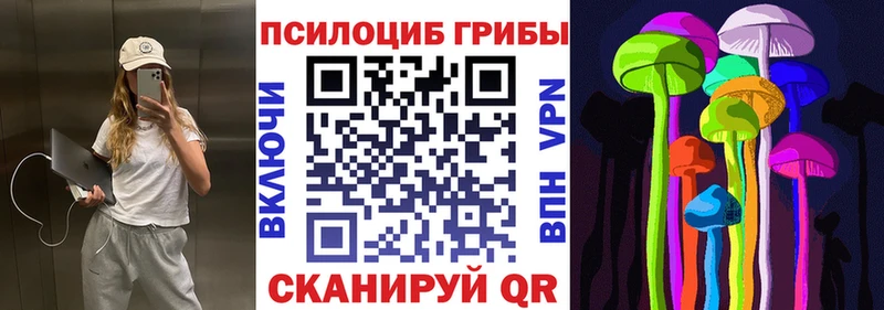 закладка  Энем  Галлюциногенные грибы MAGIC MUSHROOMS 